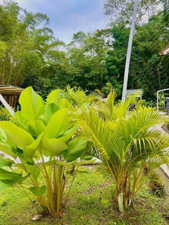 Grand Park Manuel Antonio Hotel Quepos Exterior photo